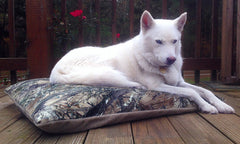 SunMate Orthopedic Pet Beds