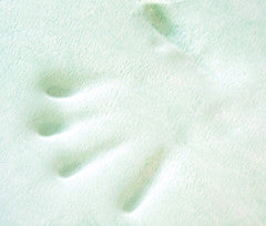 Pudgee Orthopedic Cushions